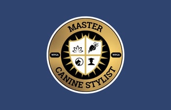 I’m a self-taught groomer ready to be recognized!  