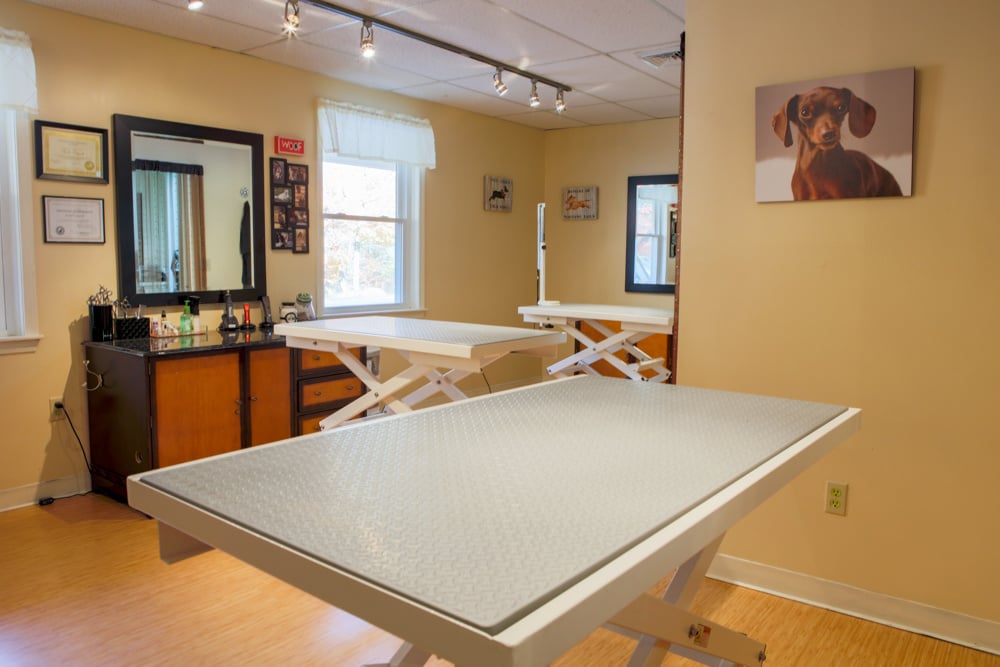 2017-10-24-Dara-0027